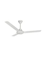 imagen1